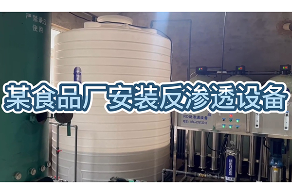 食品廠安裝反滲透設備，生產(chǎn)質量好的食品，好水質是前提！